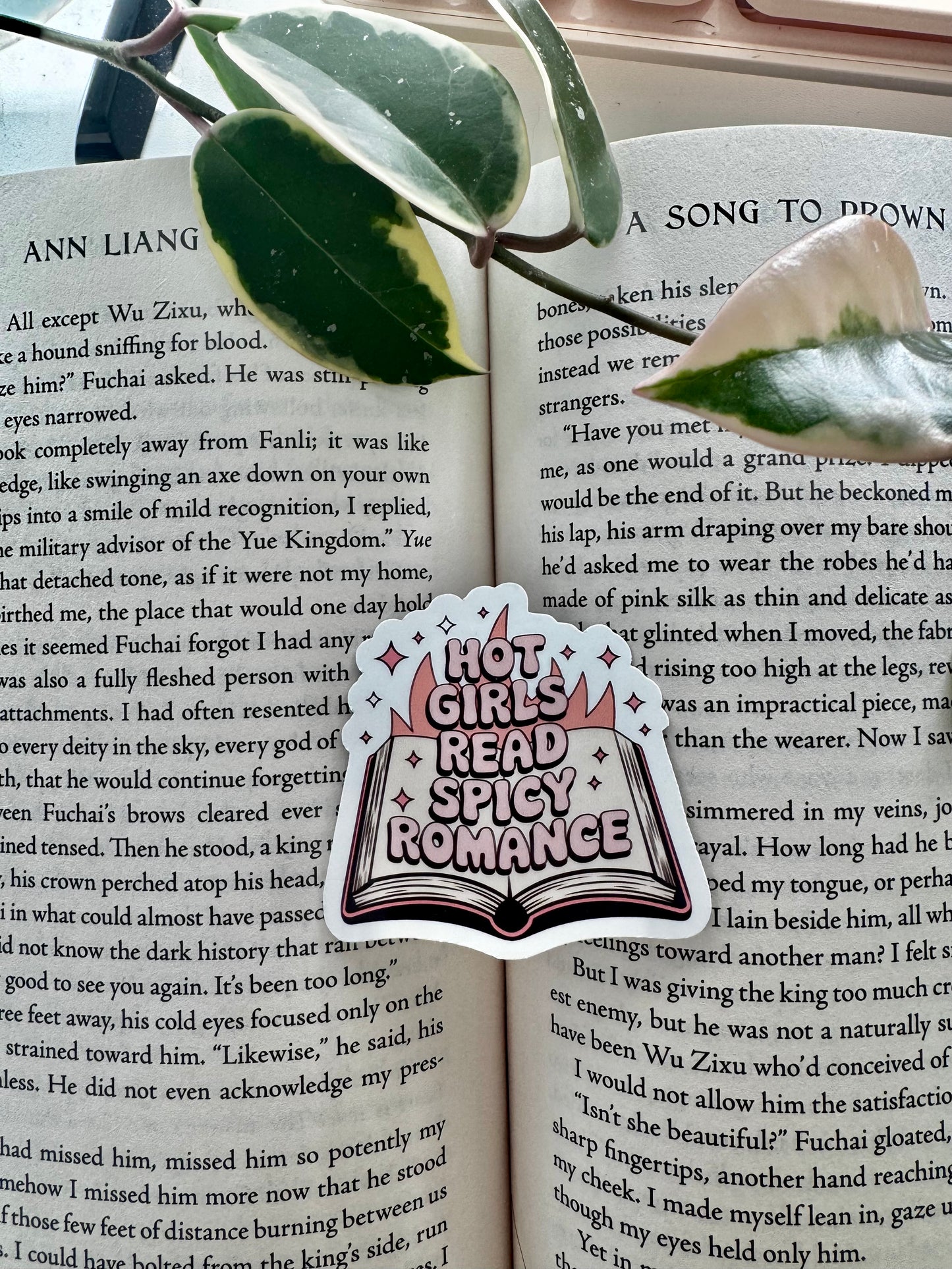 Hot Girls Read Spicy Romance Sticker