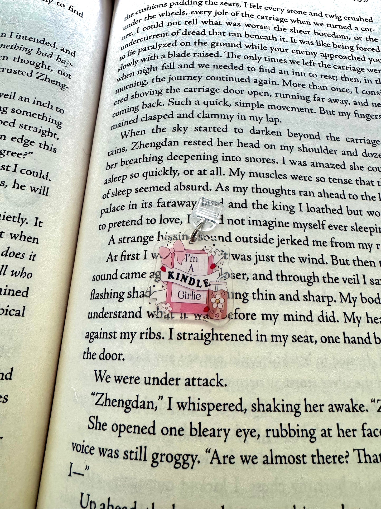 Kindle Girly Dust Plug