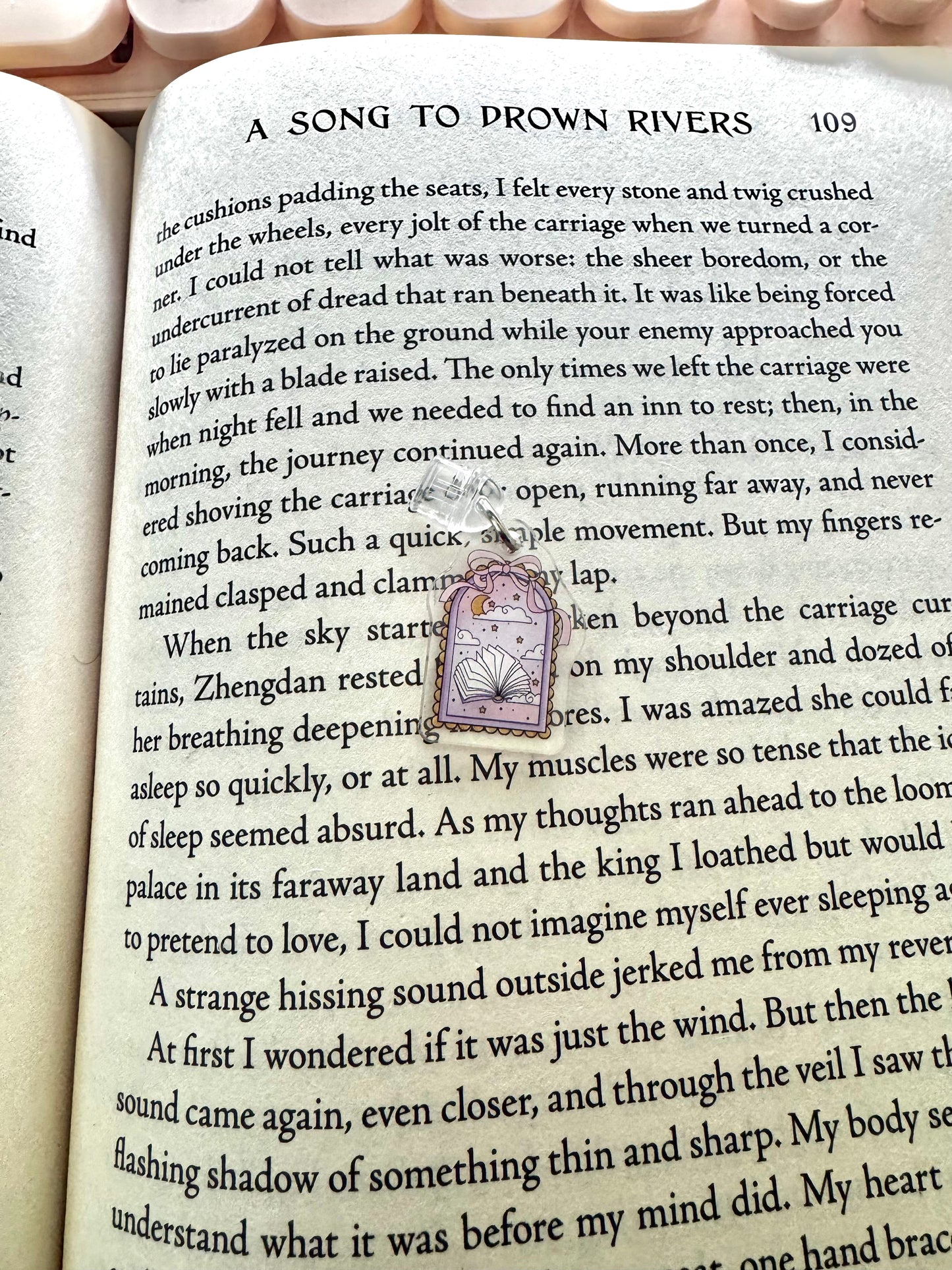 Bookish Window Dust Plug